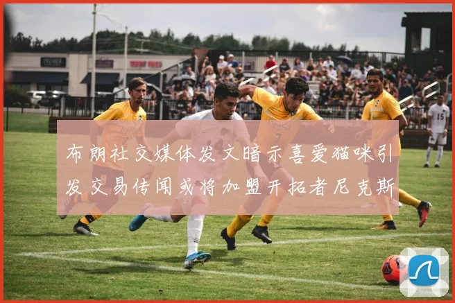 布朗社交媒体发文暗示喜爱猫咪引发交易传闻或将加盟开拓者尼克斯雷霆湖人