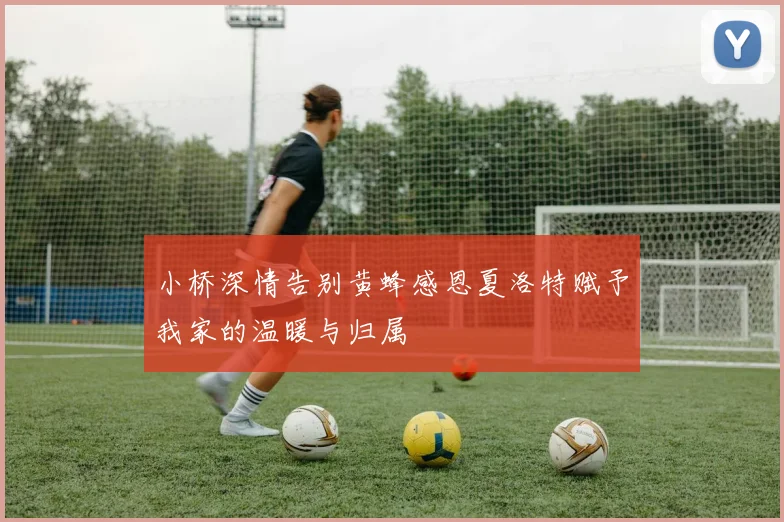 小桥深情告别黄蜂感恩夏洛特赋予我家的温暖与归属