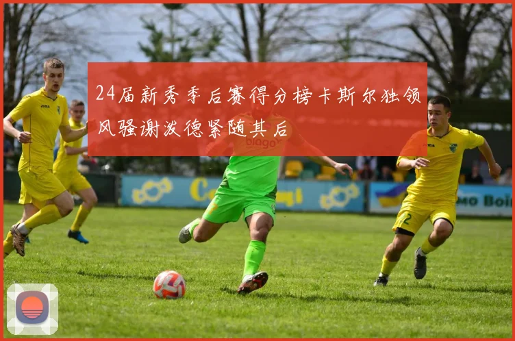 24届新秀季后赛得分榜卡斯尔独领风骚谢泼德紧随其后